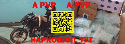 индика Гусев