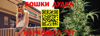 индика Гусев