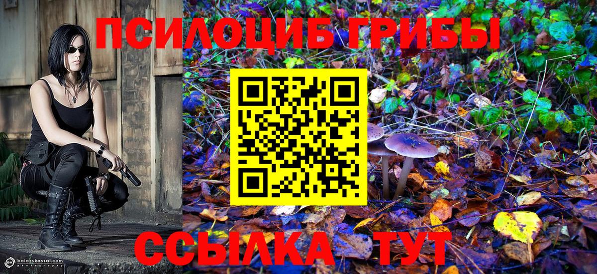 магазин продажи   Вход с VPN  Москва  Галлюциногенные грибы Cubensis 